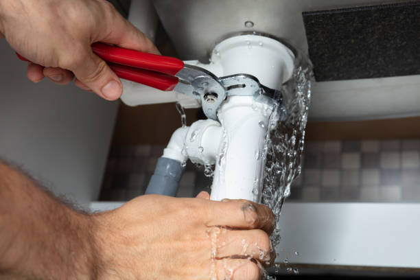 Best Local water damage restoration  in Meadow Les, AK