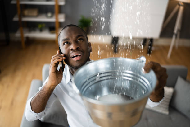 Best Emergency water damage restoration  in Meadow Les, AK
