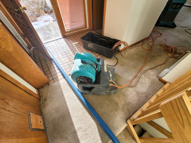 Best Ceiling water damage repair  in Meadow Les, AK