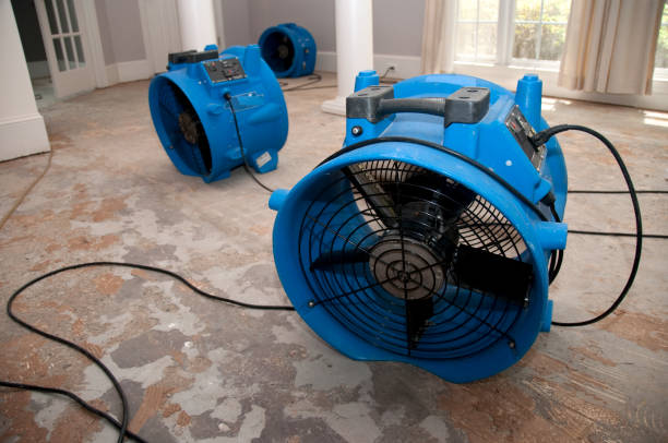 Sewage cleanup and water damage restoration in Meadow Lakes, AK