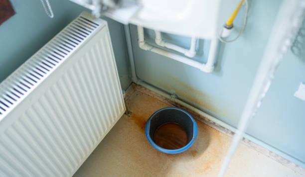 Best Commercial water damage restoration  in Meadow Les, AK