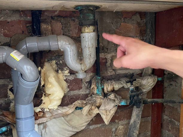 Best Sewage cleanup and water damage restoration  in Meadow Les, AK