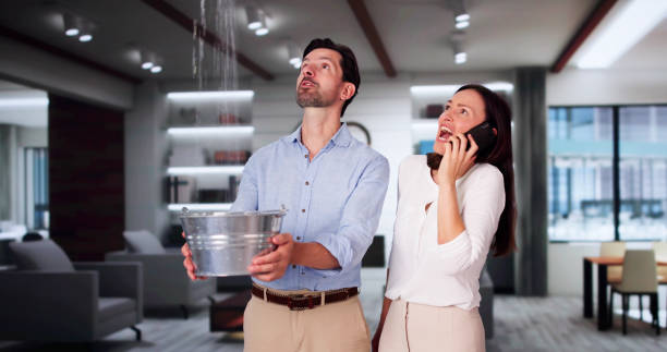 Best Water damage restoration mold remediation  in Meadow Les, AK