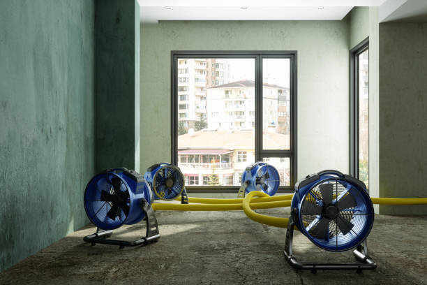 Best Water damage repair service  in Meadow Les, AK