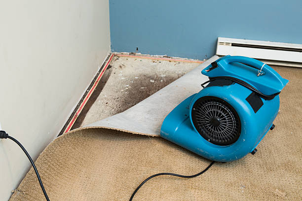  Meadow Les, AK Water damage restoration Pros